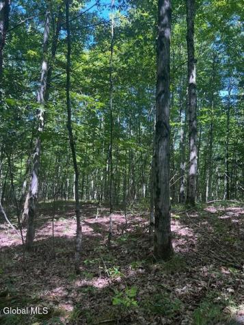 L28 Koster Way Salem NY 12865