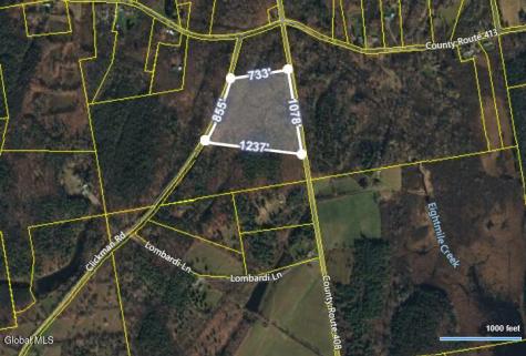 L3.22 Clickman Road Westerlo NY 12193