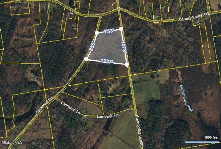 L3.22 Clickman Road Westerlo NY 12193