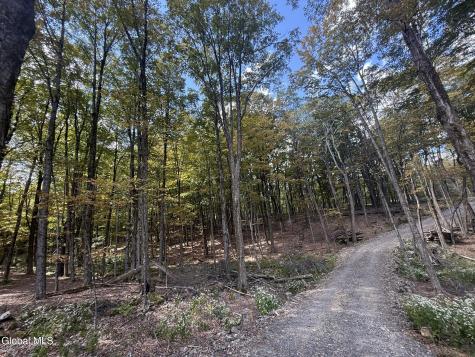 L3.22 Clickman Road Westerlo NY 12193