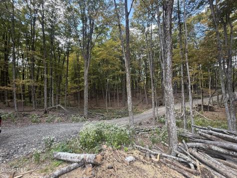 L3.22 Clickman Road Westerlo NY 12193