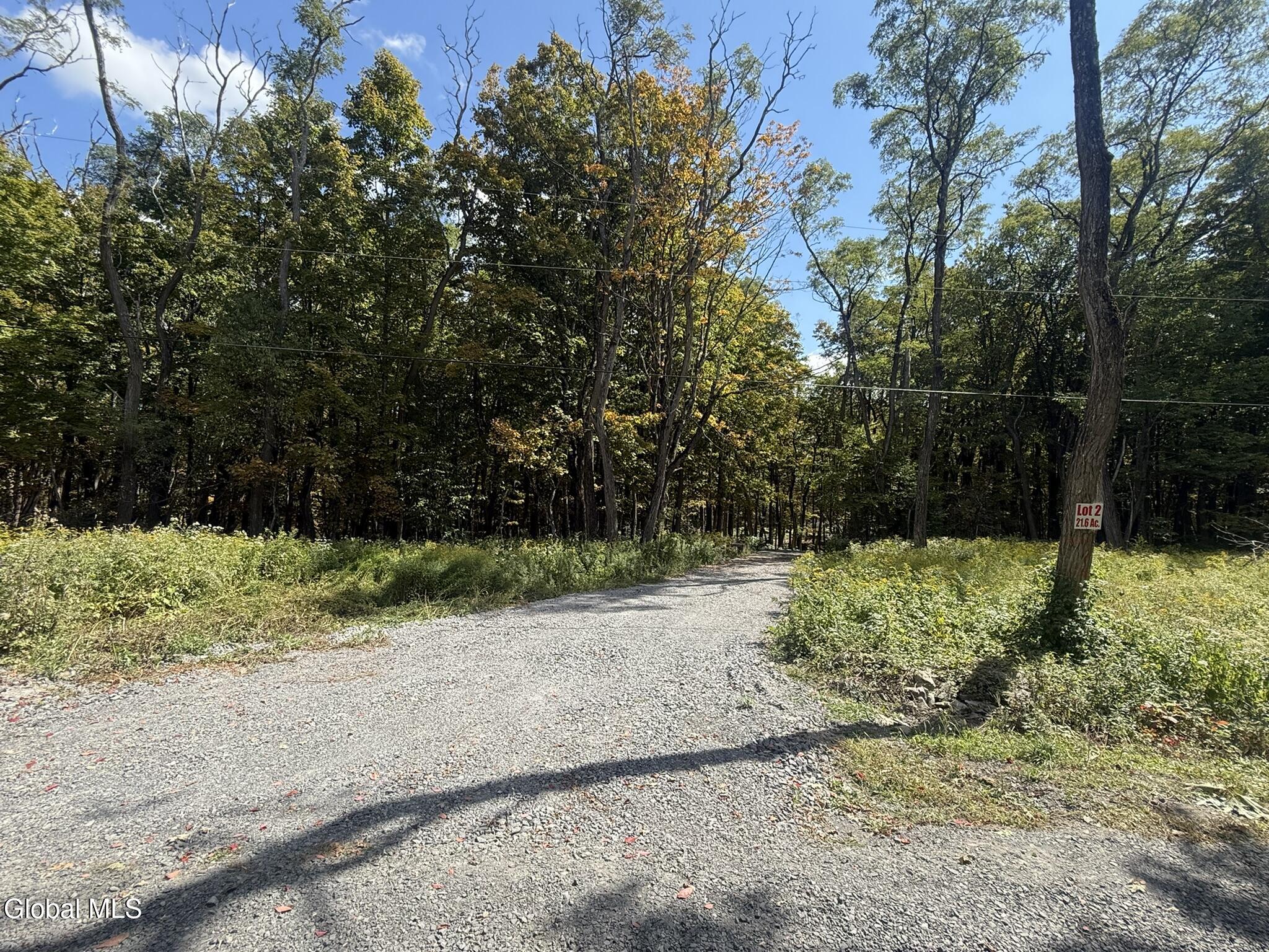L3.22 Clickman Road Westerlo NY 12193