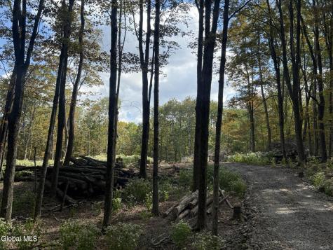 L3.22 Clickman Road Westerlo NY 12193