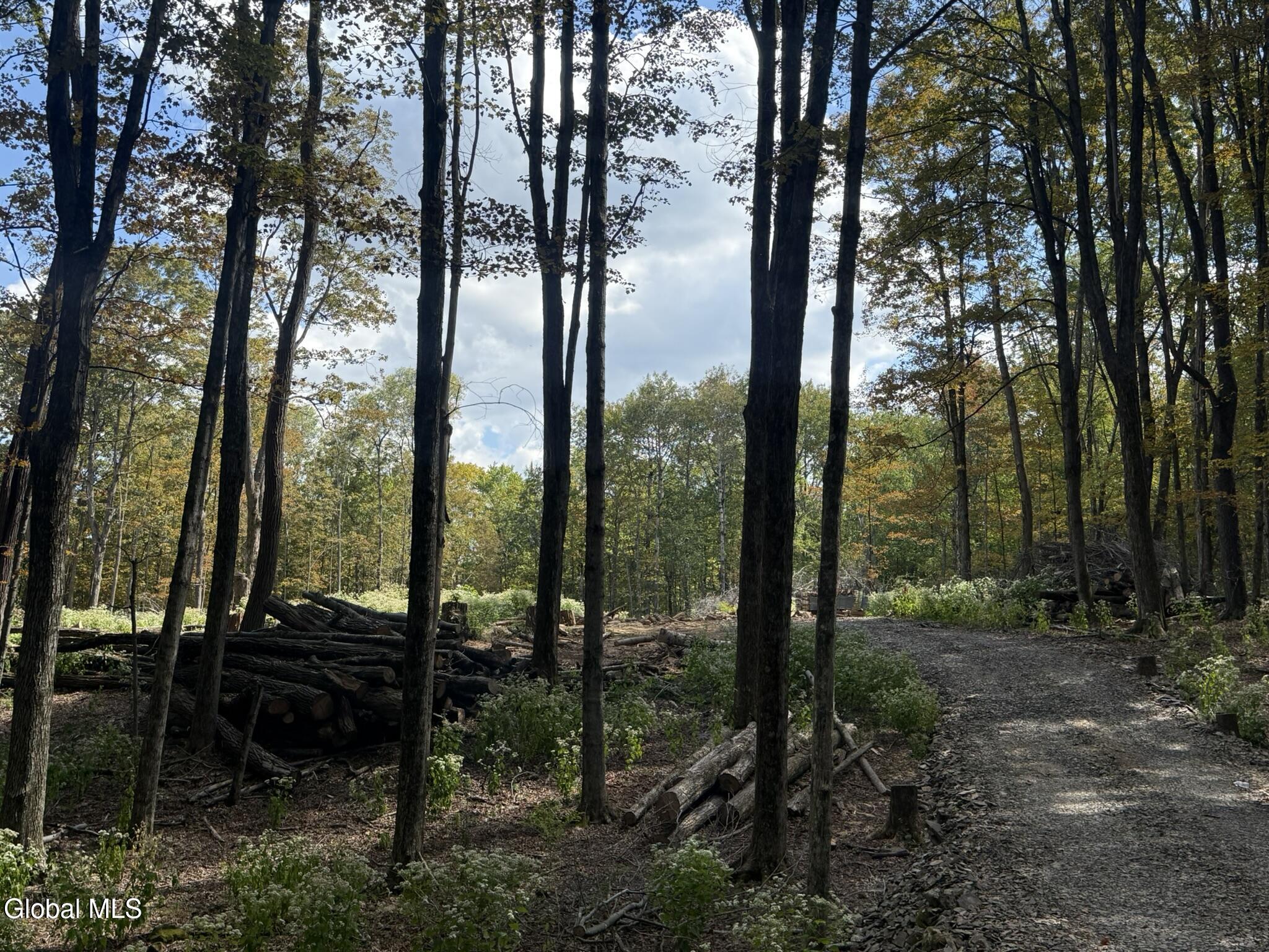 L3.22 Clickman Road Westerlo NY 12193