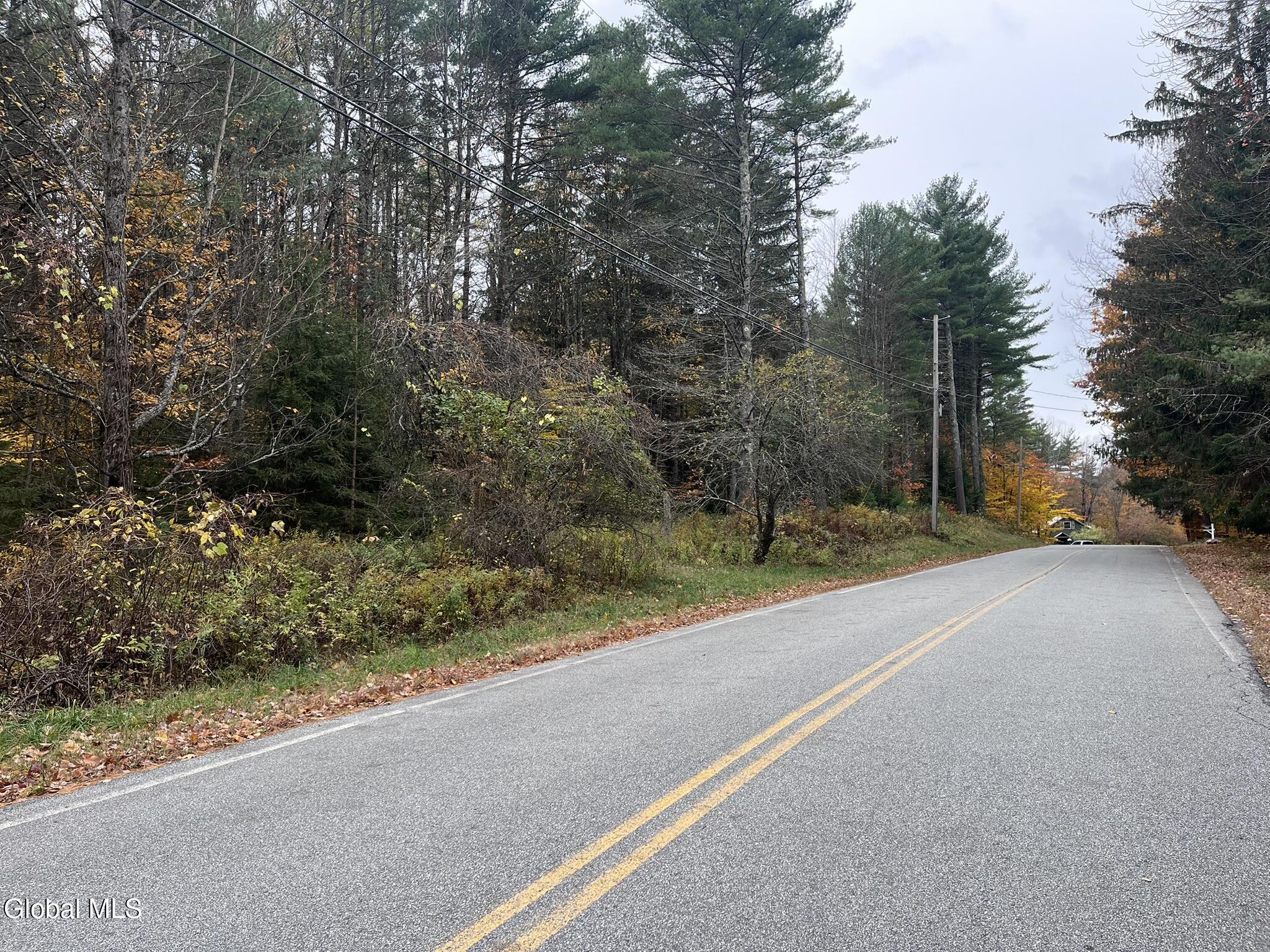 L35 Truesdale Hill Road Lake George NY 12845