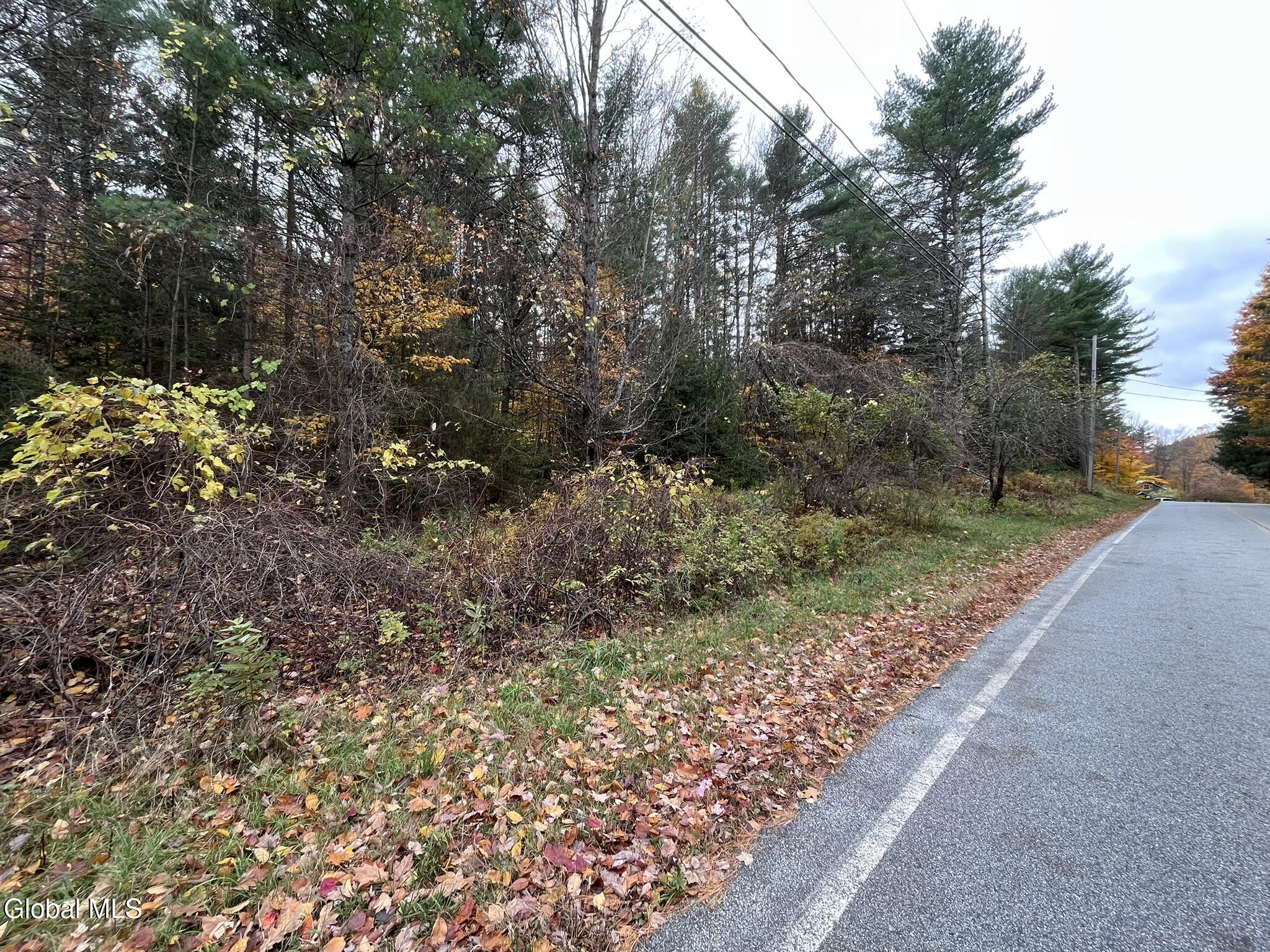 L35 Truesdale Hill Road Lake George NY 12845