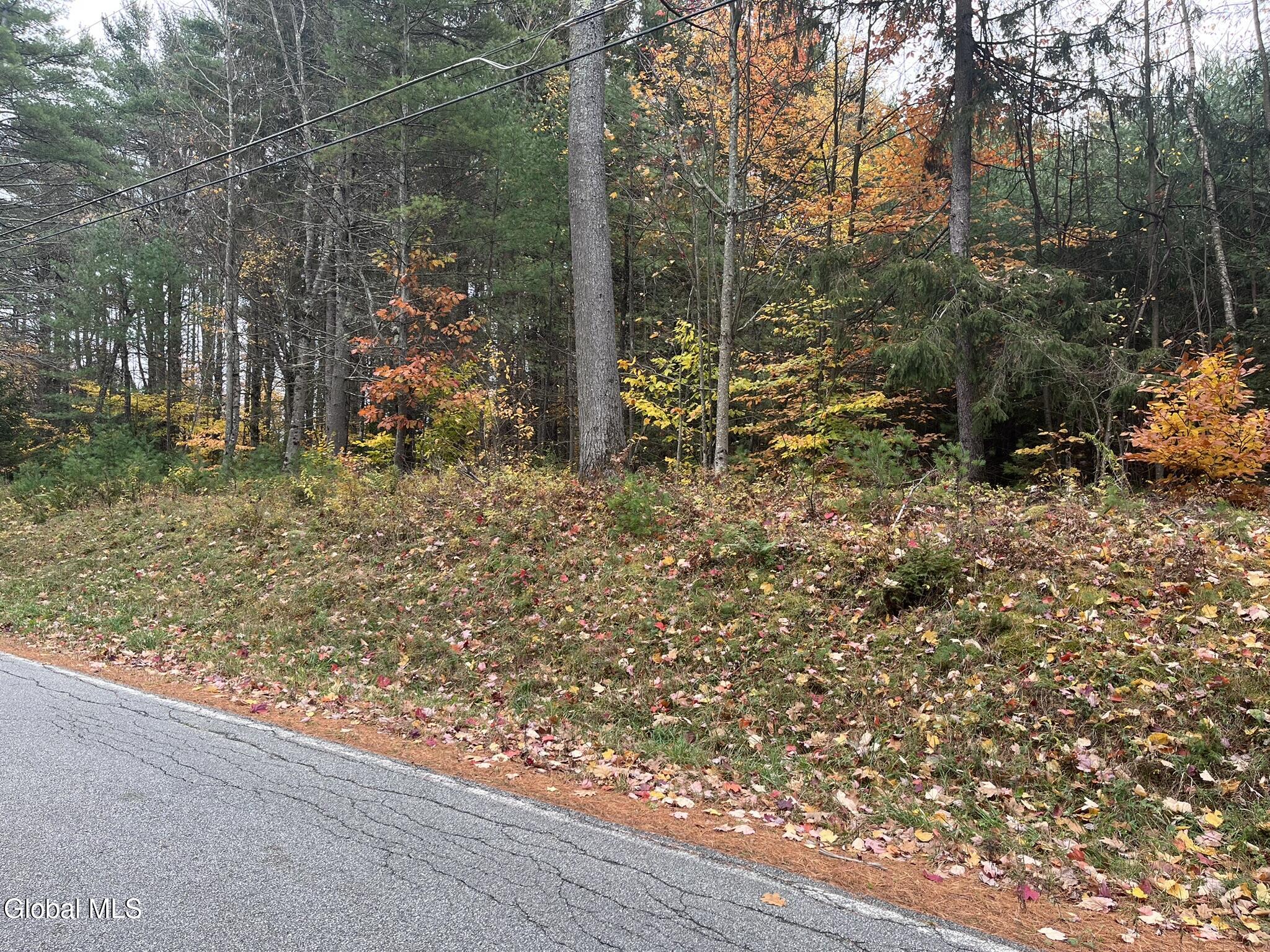 L35 Truesdale Hill Road Lake George NY 12845