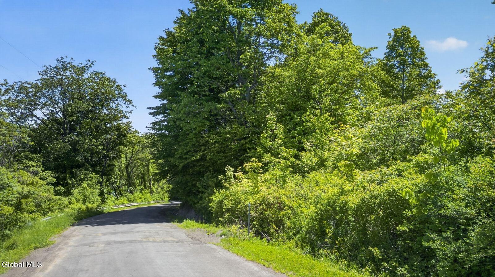 L2.01 Willie Oneil Road Cherry Valley NY 13320