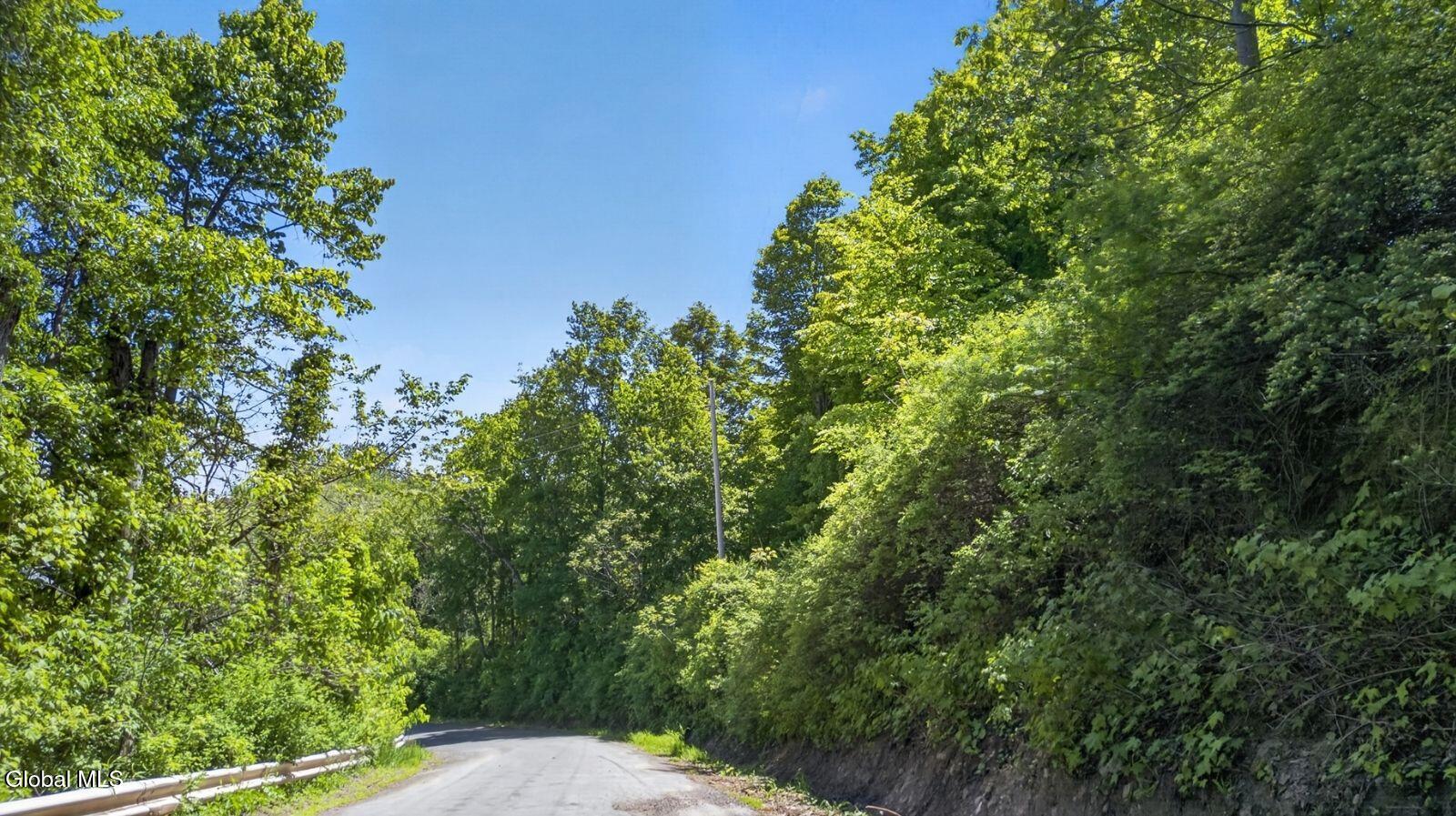 L2.01 Willie Oneil Road Cherry Valley NY 13320