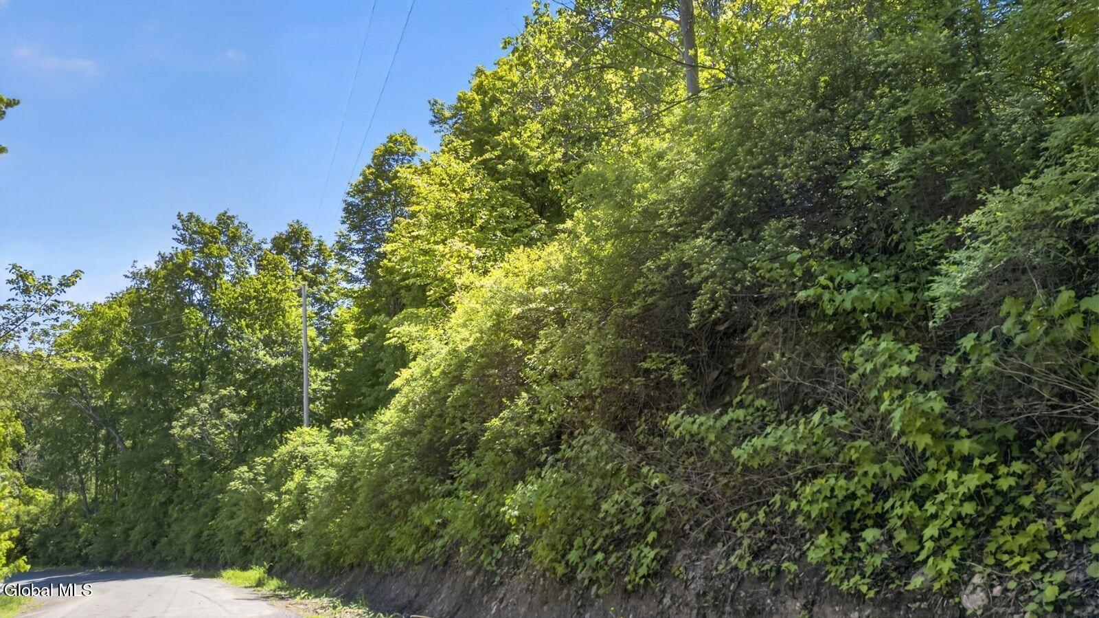 L2.01 Willie Oneil Road Cherry Valley NY 13320