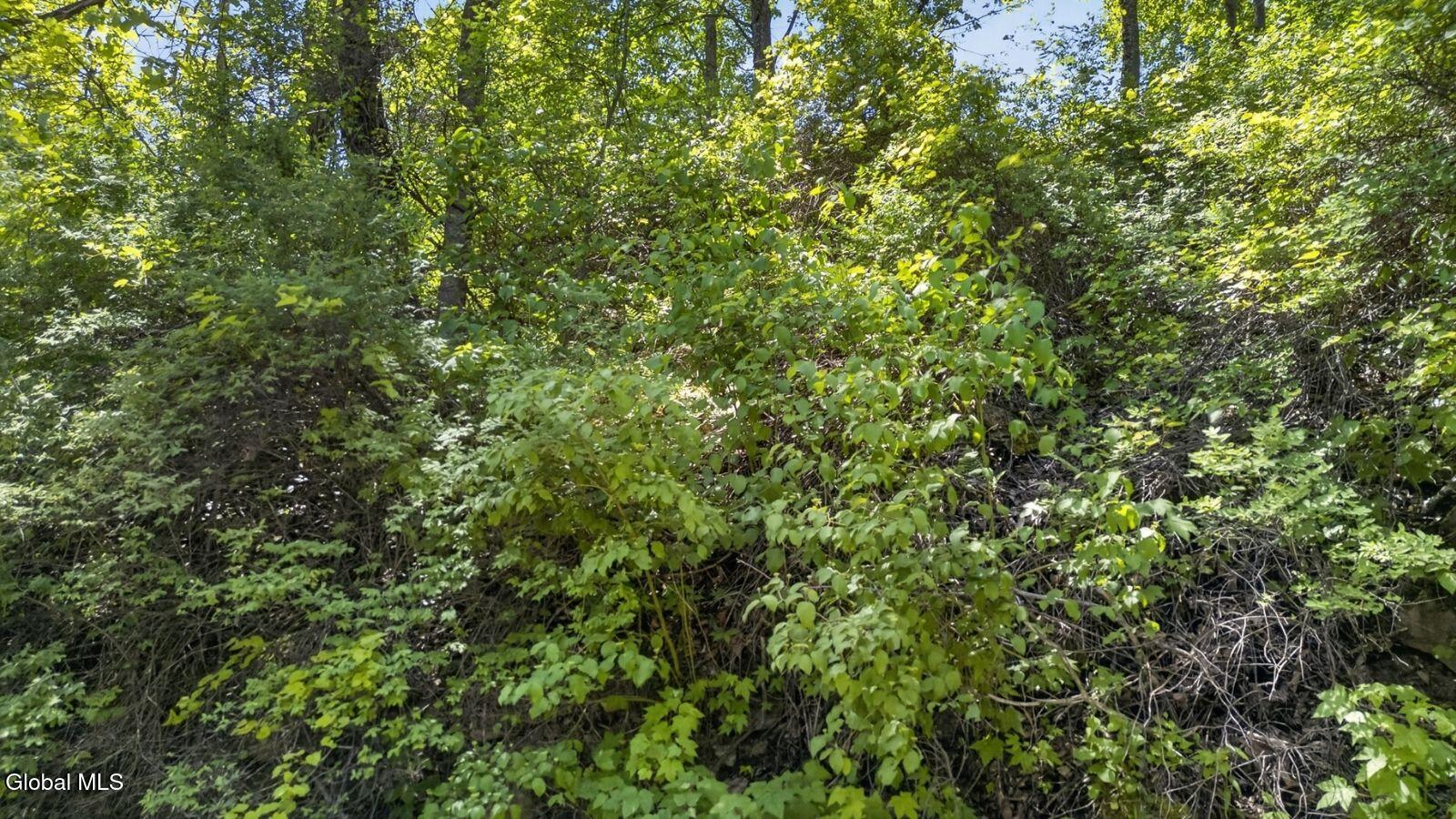 L2.01 Willie Oneil Road Cherry Valley NY 13320