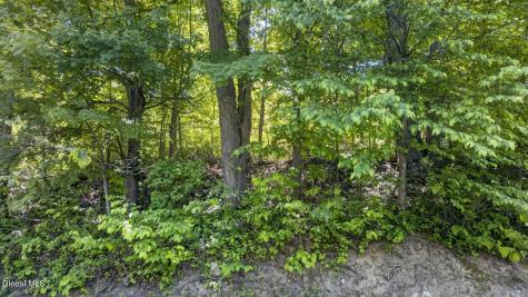 L2.01 Willie Oneil Road Cherry Valley NY 13320