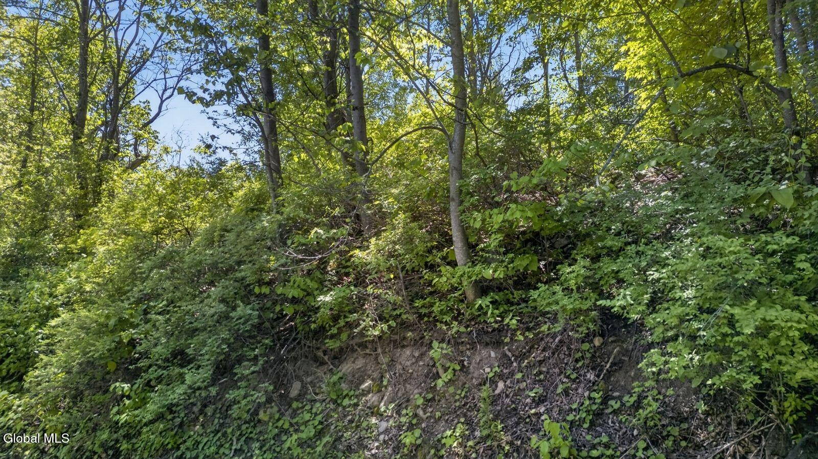 L2.01 Willie Oneil Road Cherry Valley NY 13320