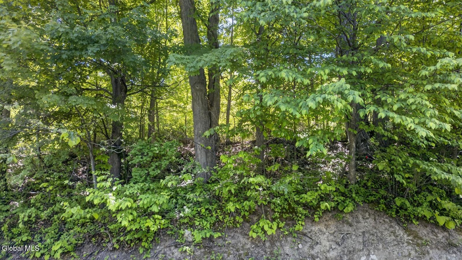 L2.01 Willie Oneil Road Cherry Valley NY 13320