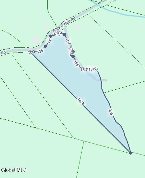 L2.01 Willie Oneil Road Cherry Valley NY 13320