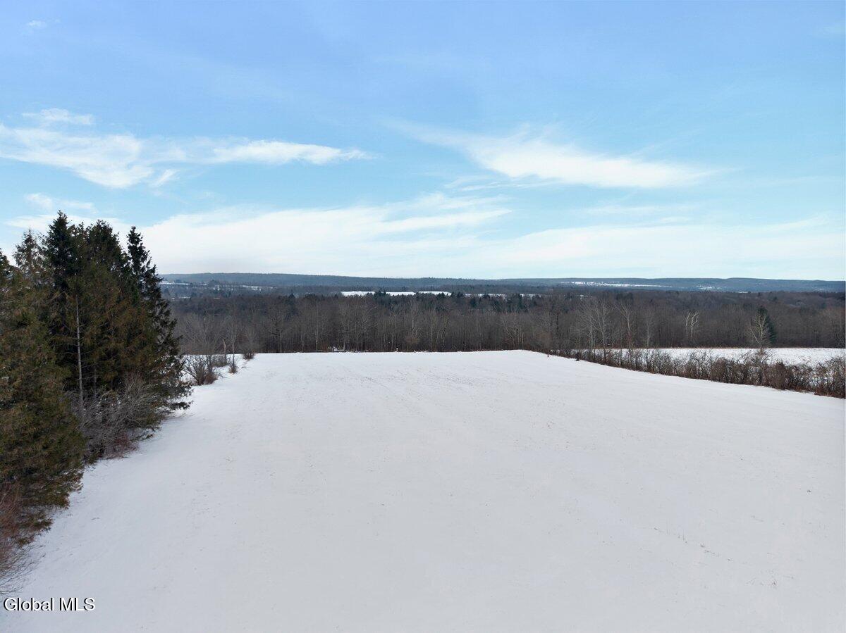 L13.422 Wells Road Pattersonville NY 12137