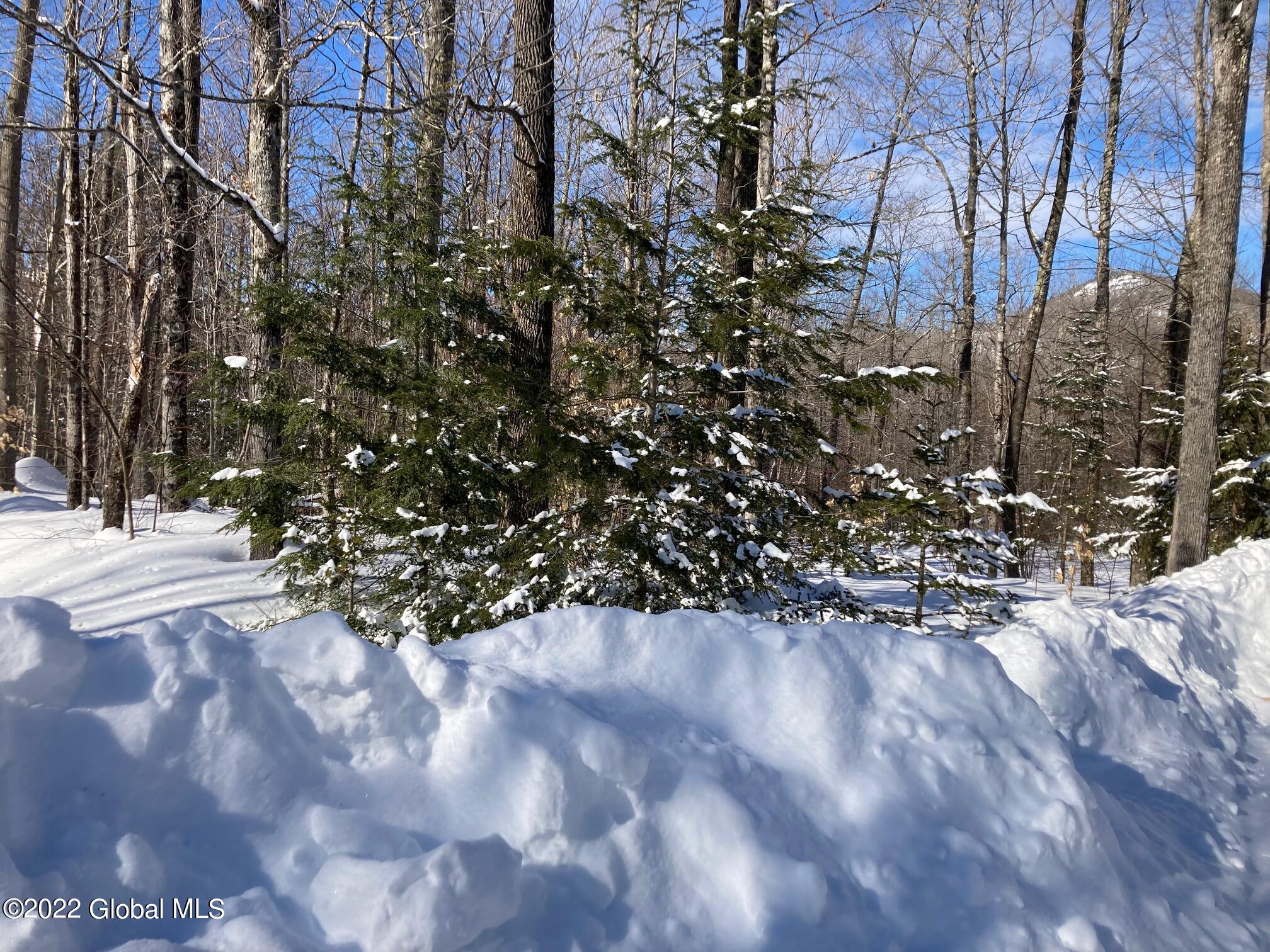 L4618114 Ruby Mountain View Drive North River NY 12843