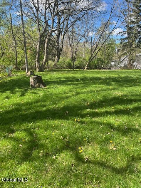 L10.2 Colonial Avenue Schenectady NY 12304