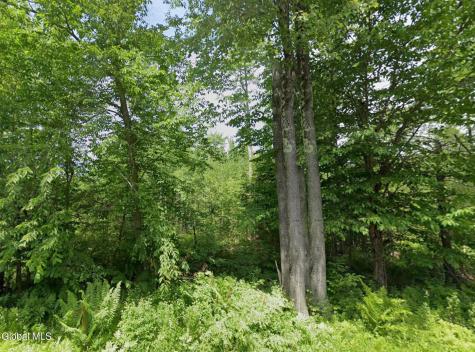 L16.150 S Woods Road Brushton NY 12957