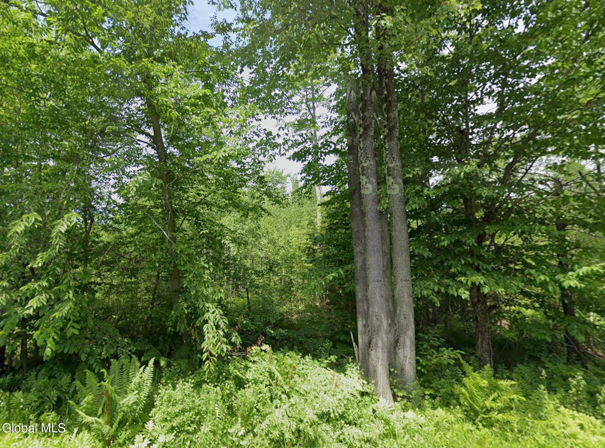 0 S Woods Road Brushton NY 12916
