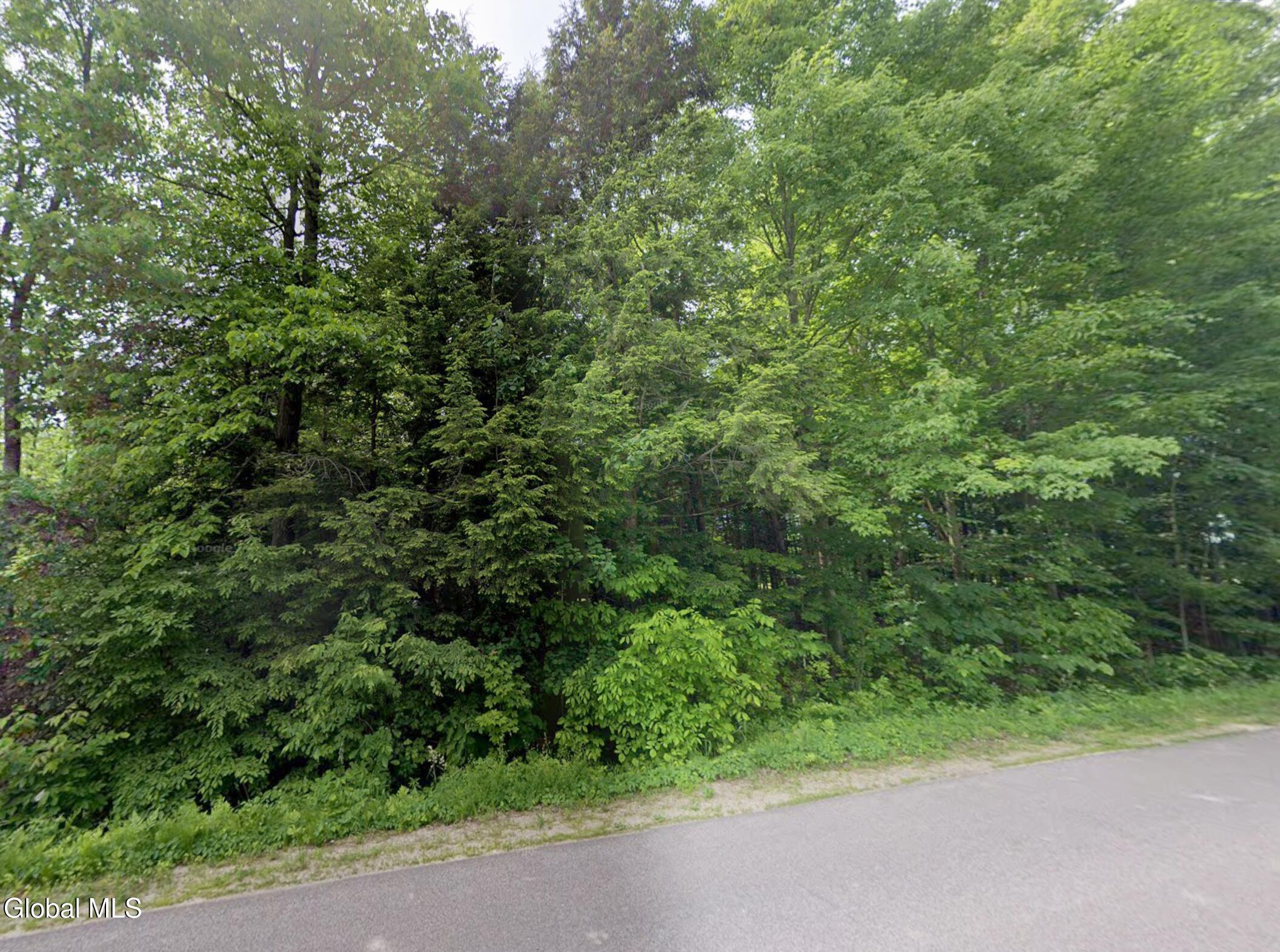 0 S Woods Road Brushton NY 12916