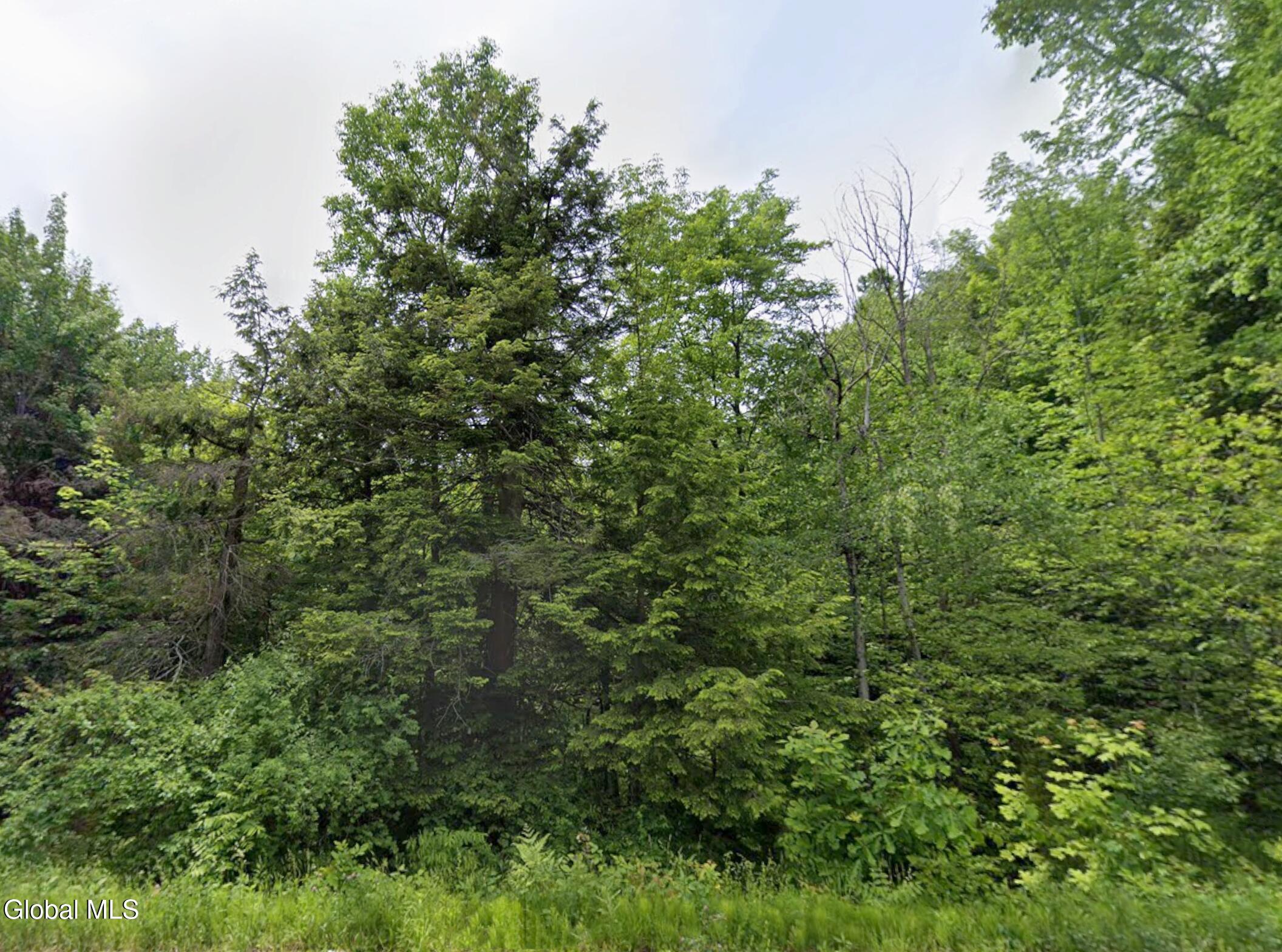 0 S Woods Road Brushton NY 12916