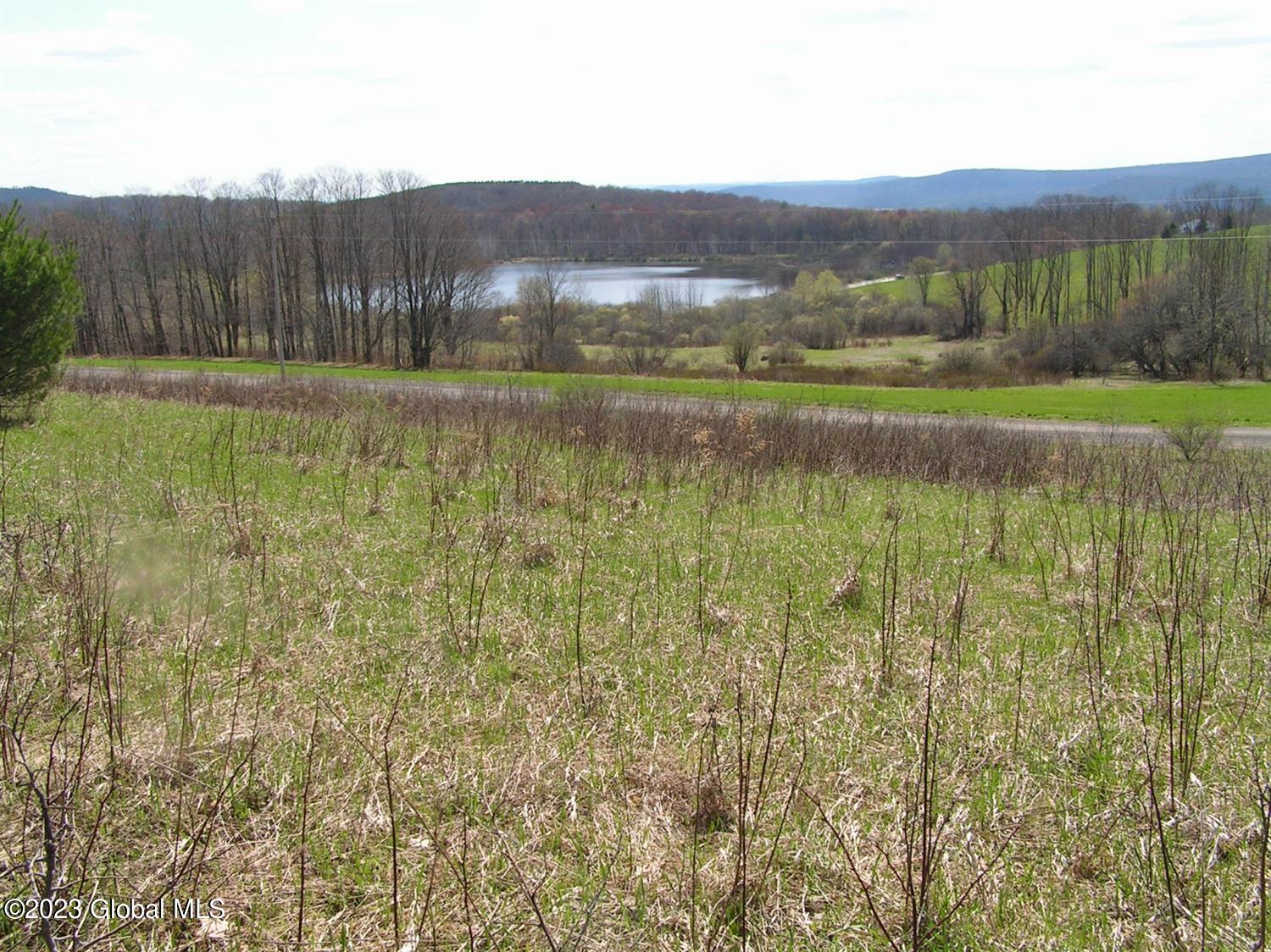 122 Peeters Road Schenevus NY 13488