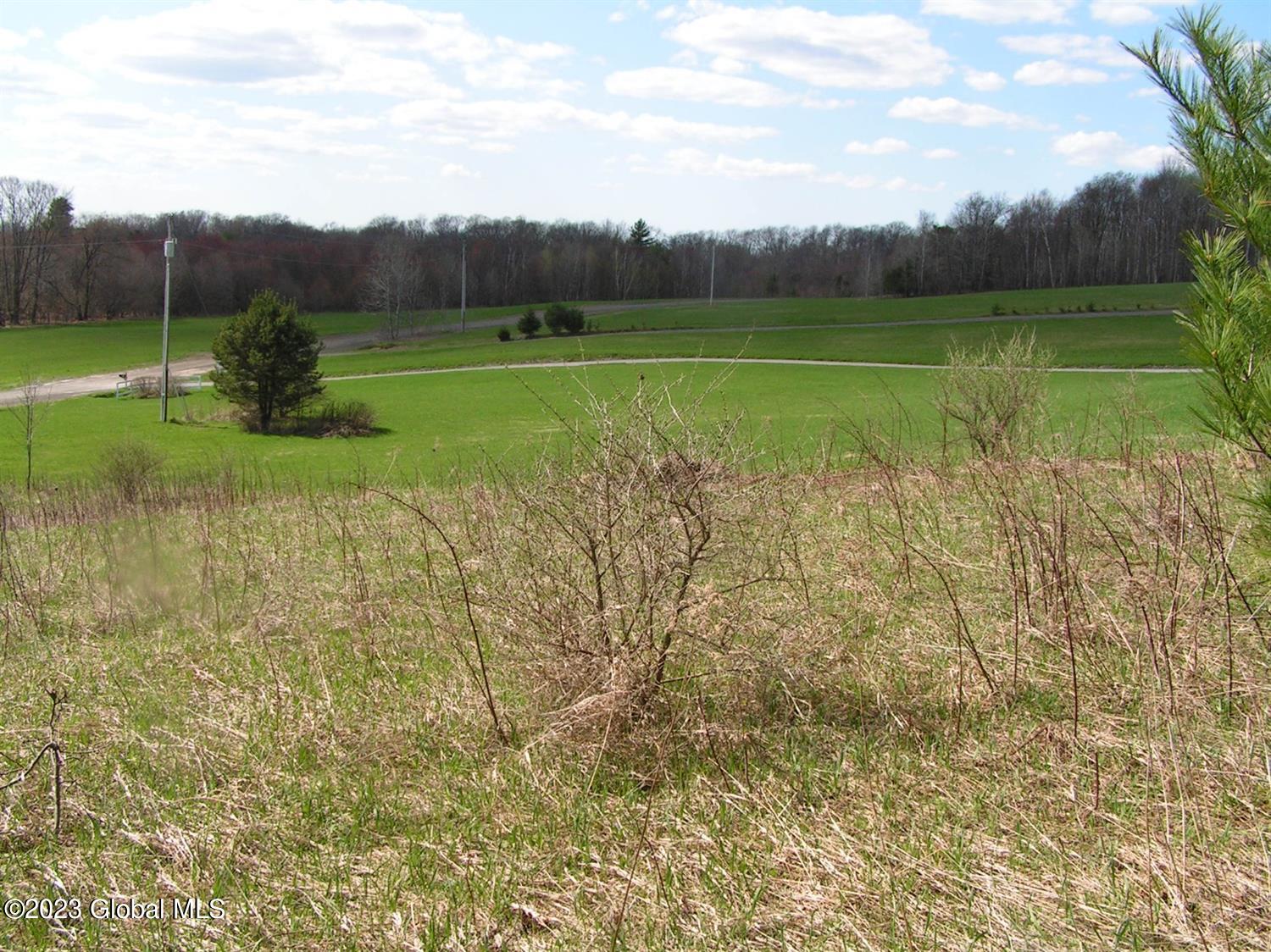 122 Peeters Road Schenevus NY 13488
