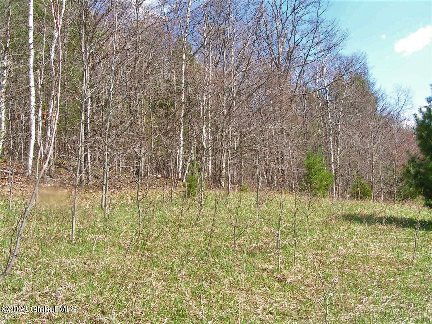 122 Peeters Road Schenevus NY 13488