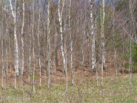 122 Peeters Road Schenevus NY 13488