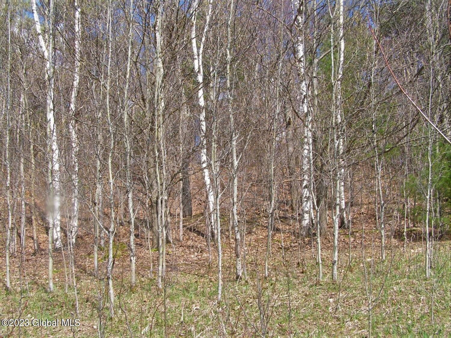 122 Peeters Road Schenevus NY 13488