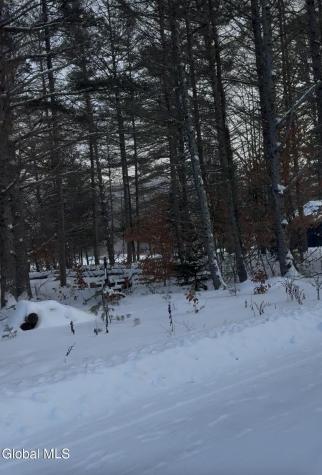 59 B Alice Bissell Lane Long Lake NY 12847