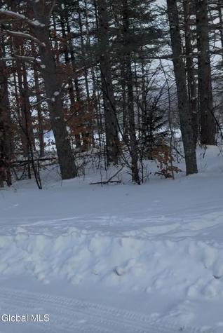 59 B Alice Bissell Lane Long Lake NY 12847