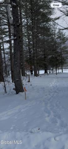 59 B Alice Bissell Lane Long Lake NY 12847
