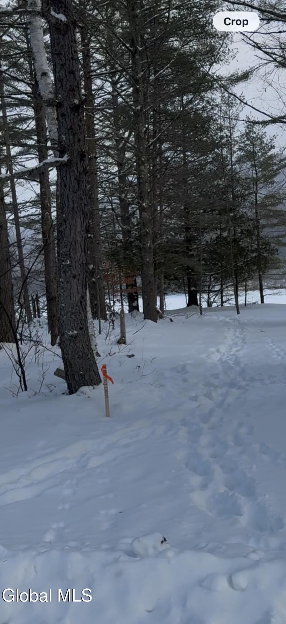 59 B Alice Bissell Lane Long Lake NY 12847