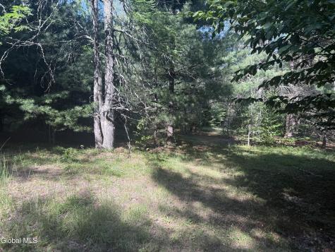 375 Ormsbee Road Porter Corners NY 12859