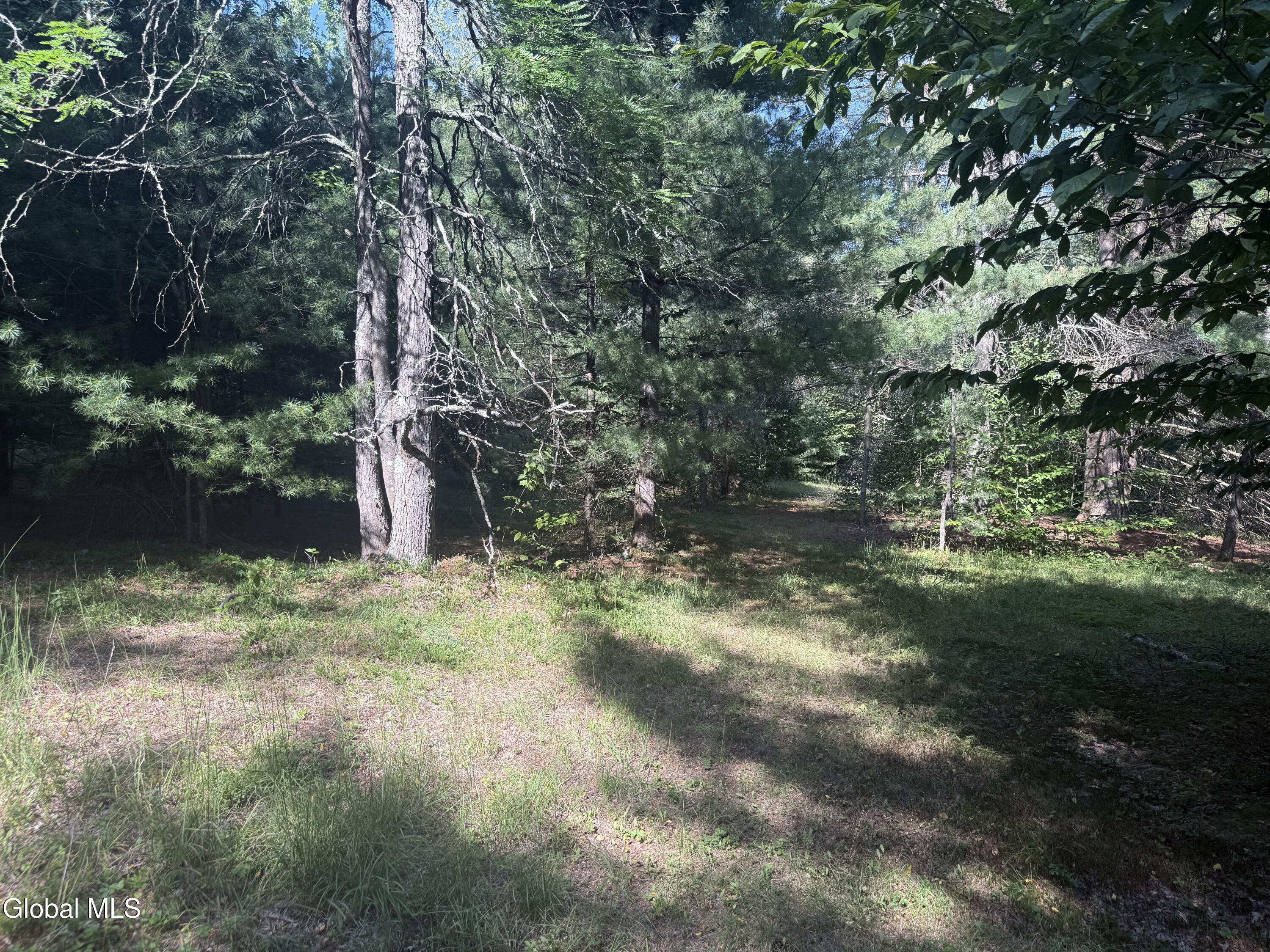 375 Ormsbee Road Porter Corners NY 12859