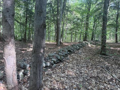 375 Ormsbee Road Porter Corners NY 12859