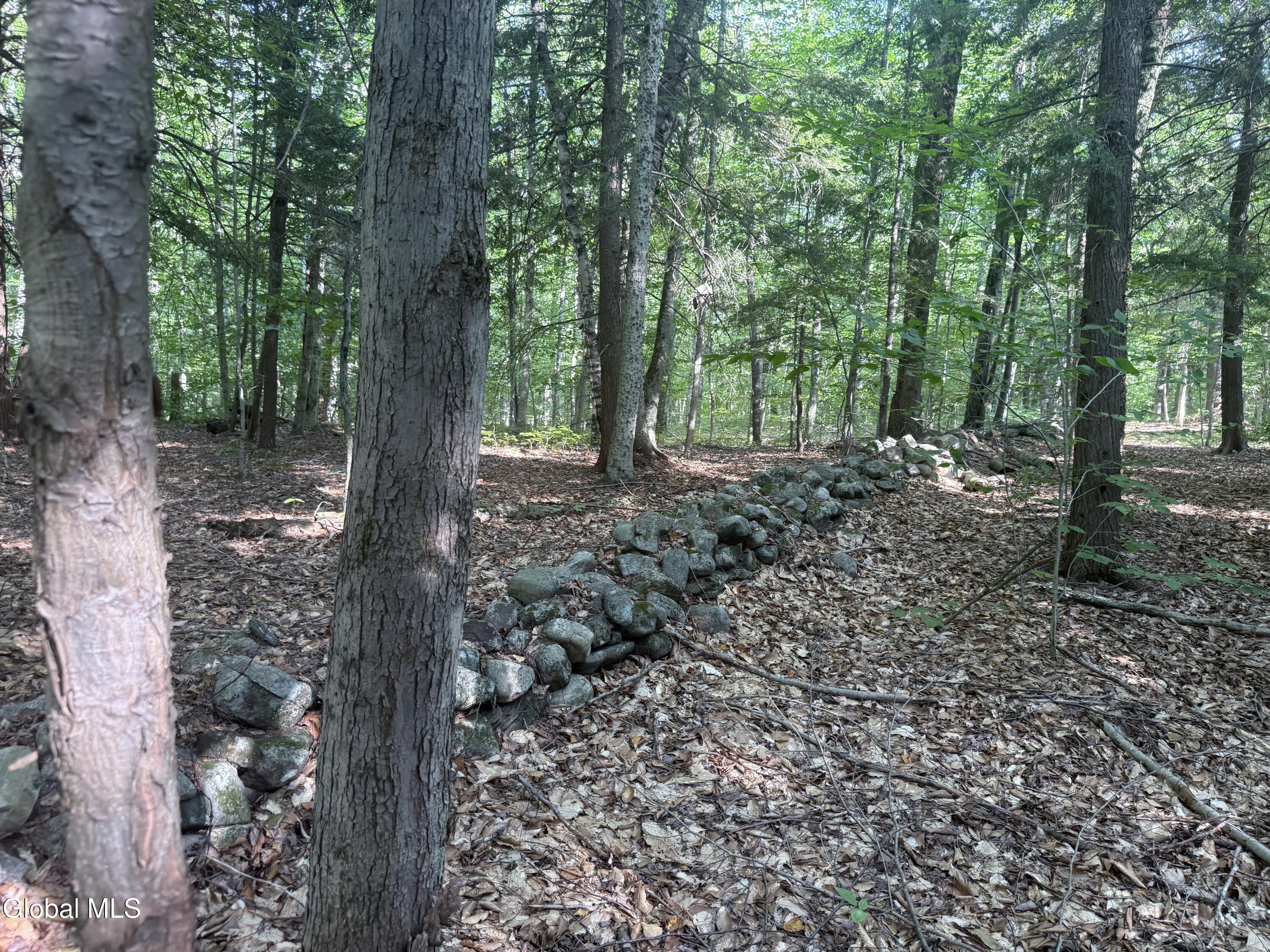 375 Ormsbee Road Porter Corners NY 12859