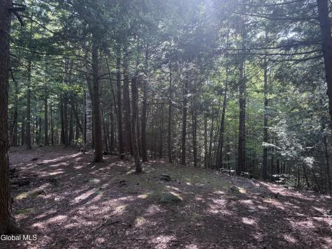 375 Ormsbee Road Porter Corners NY 12859