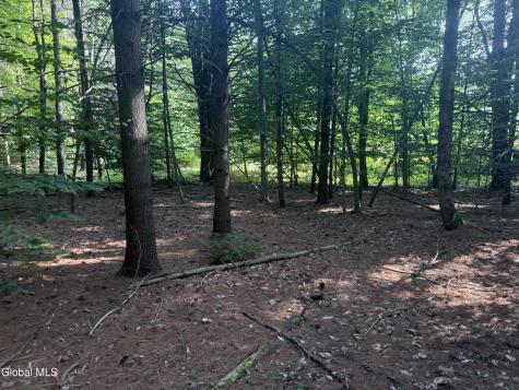 375 Ormsbee Road Porter Corners NY 12859