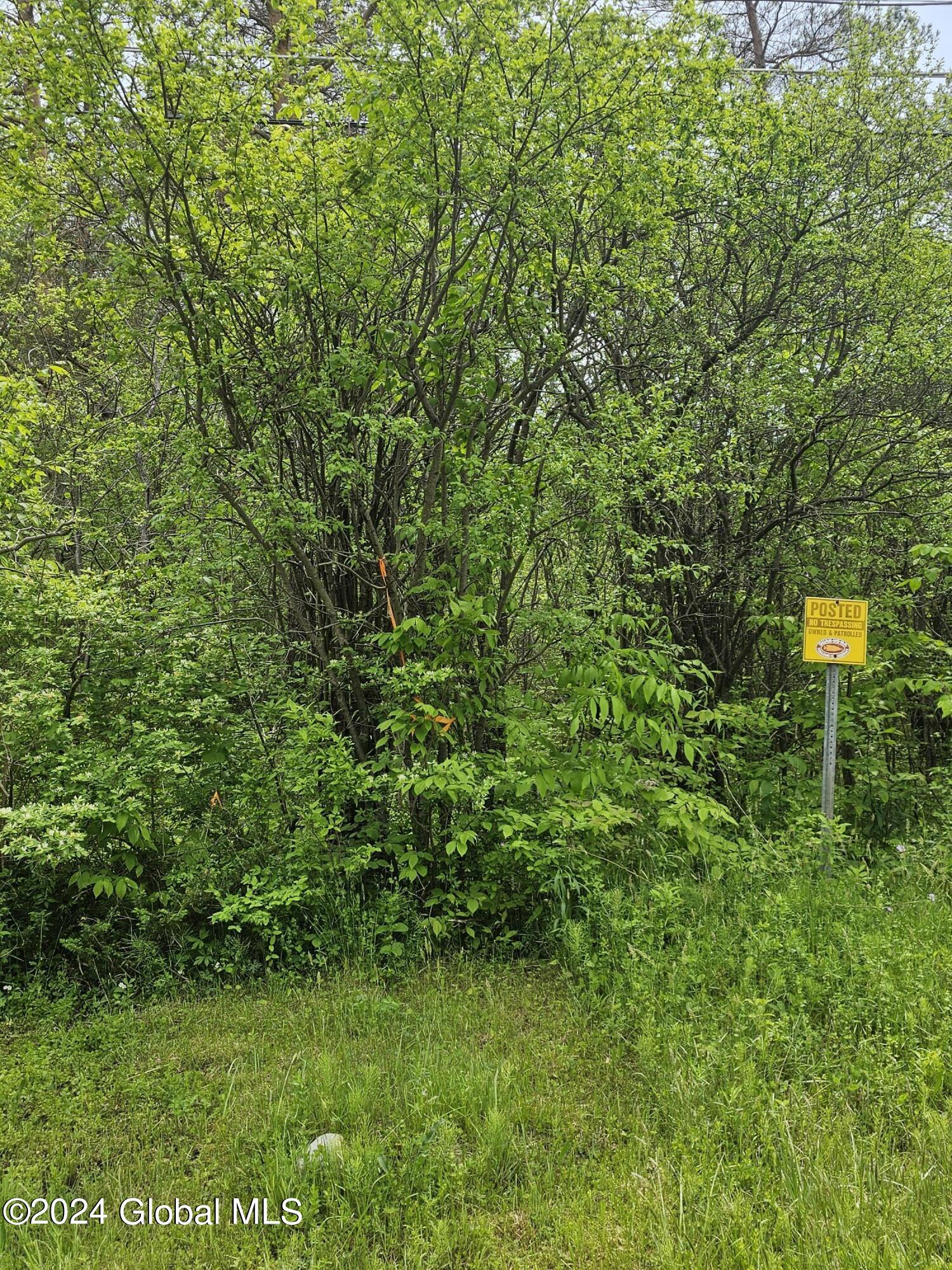 1644 Rector Road Glenville NY 12302