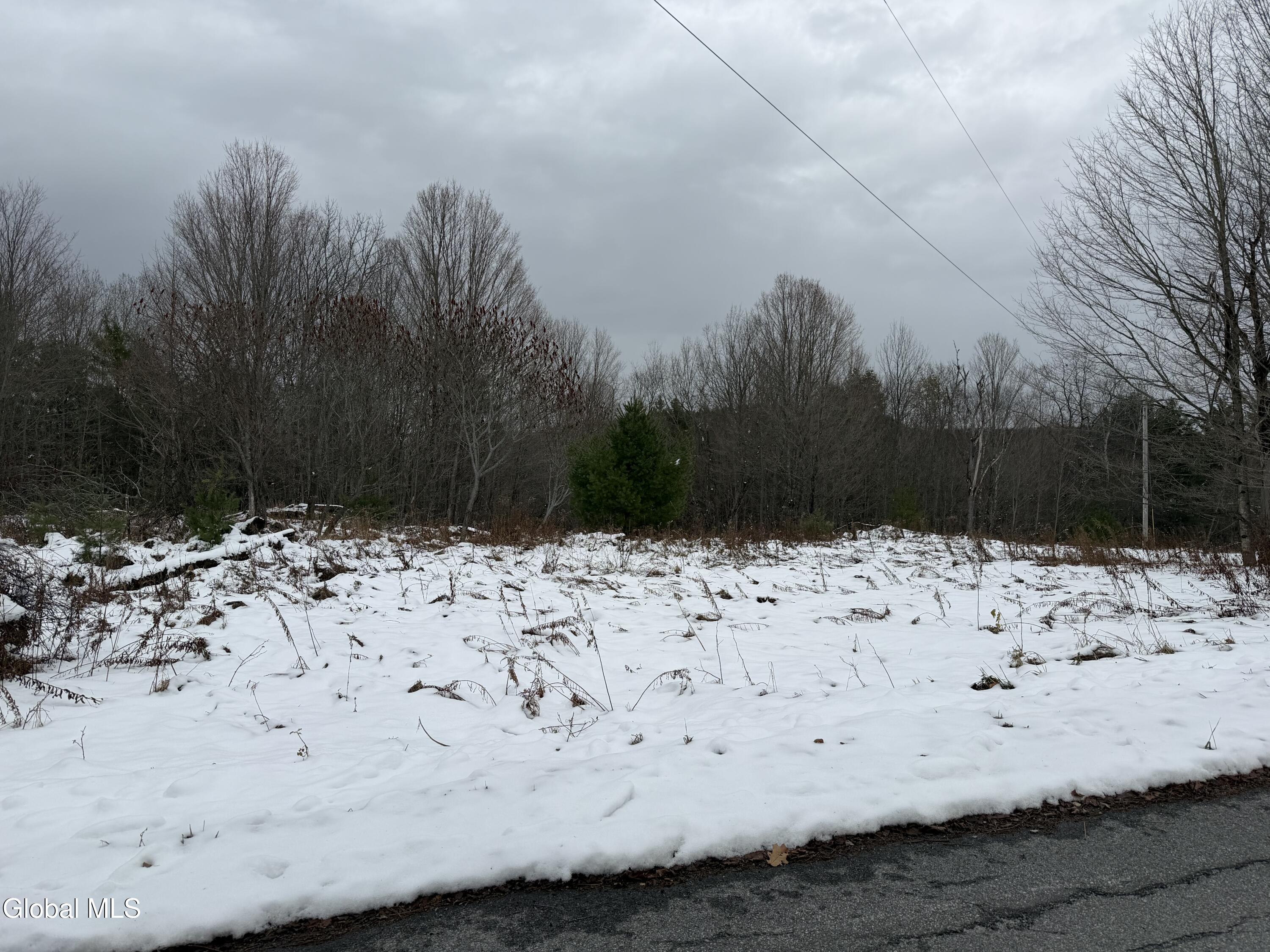 L11.000 Mutton Hollow Road Moriah NY 12960