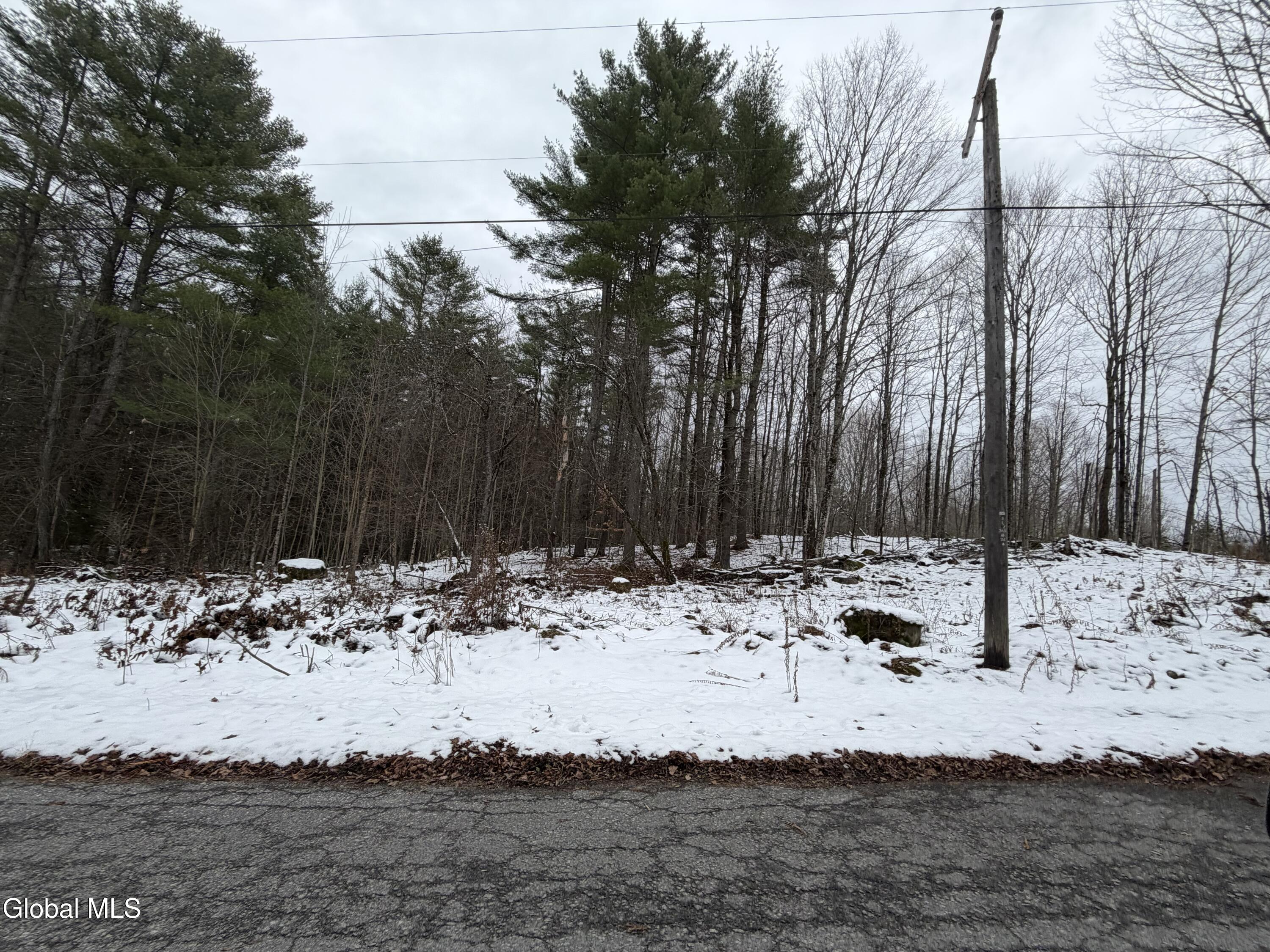 L11.000 Mutton Hollow Road Moriah NY 12960