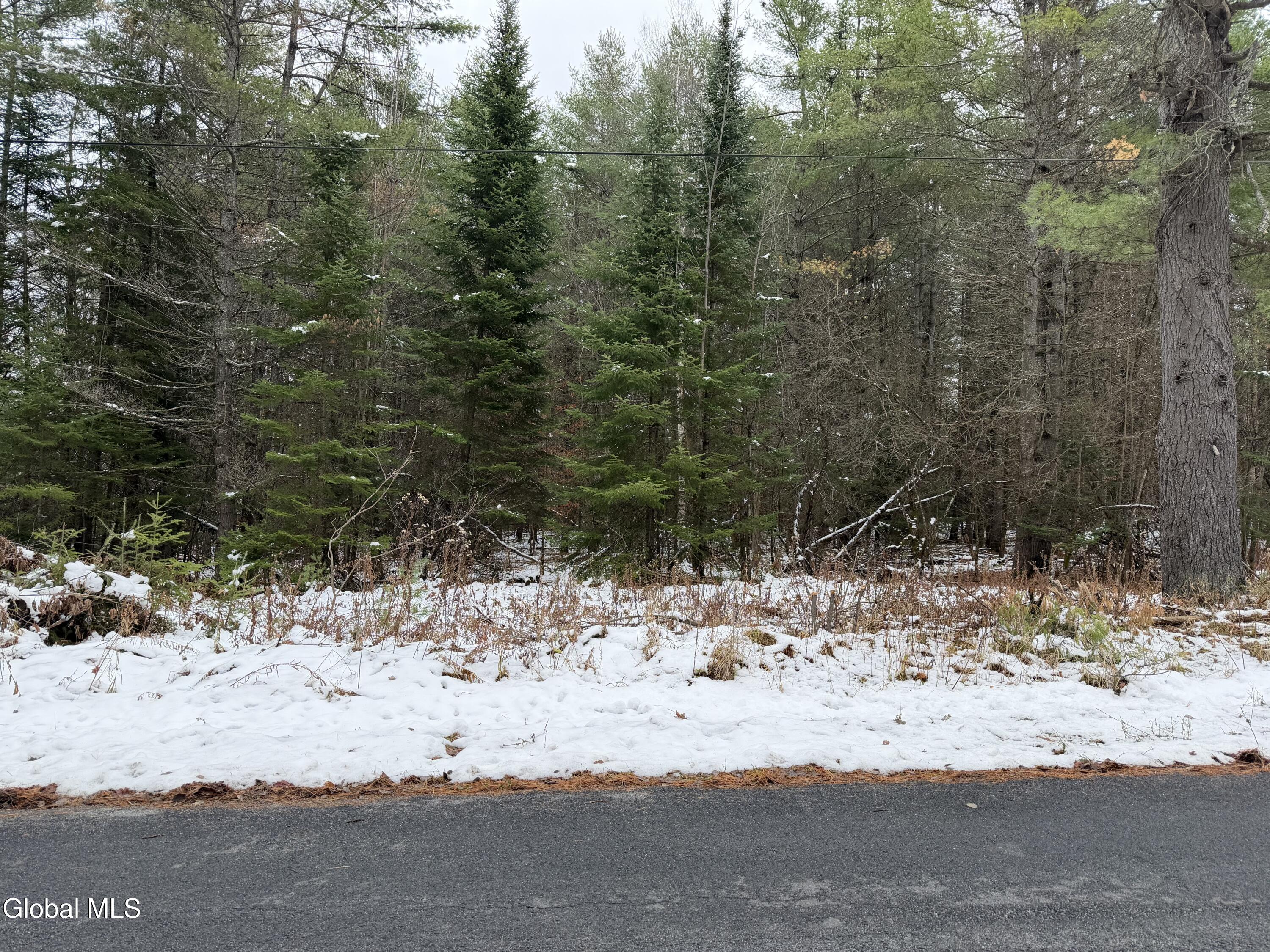 L11.000 Mutton Hollow Road Moriah NY 12960