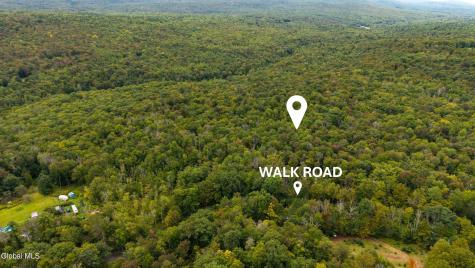 0 Walk Rd Road Sand Lake NY 12153