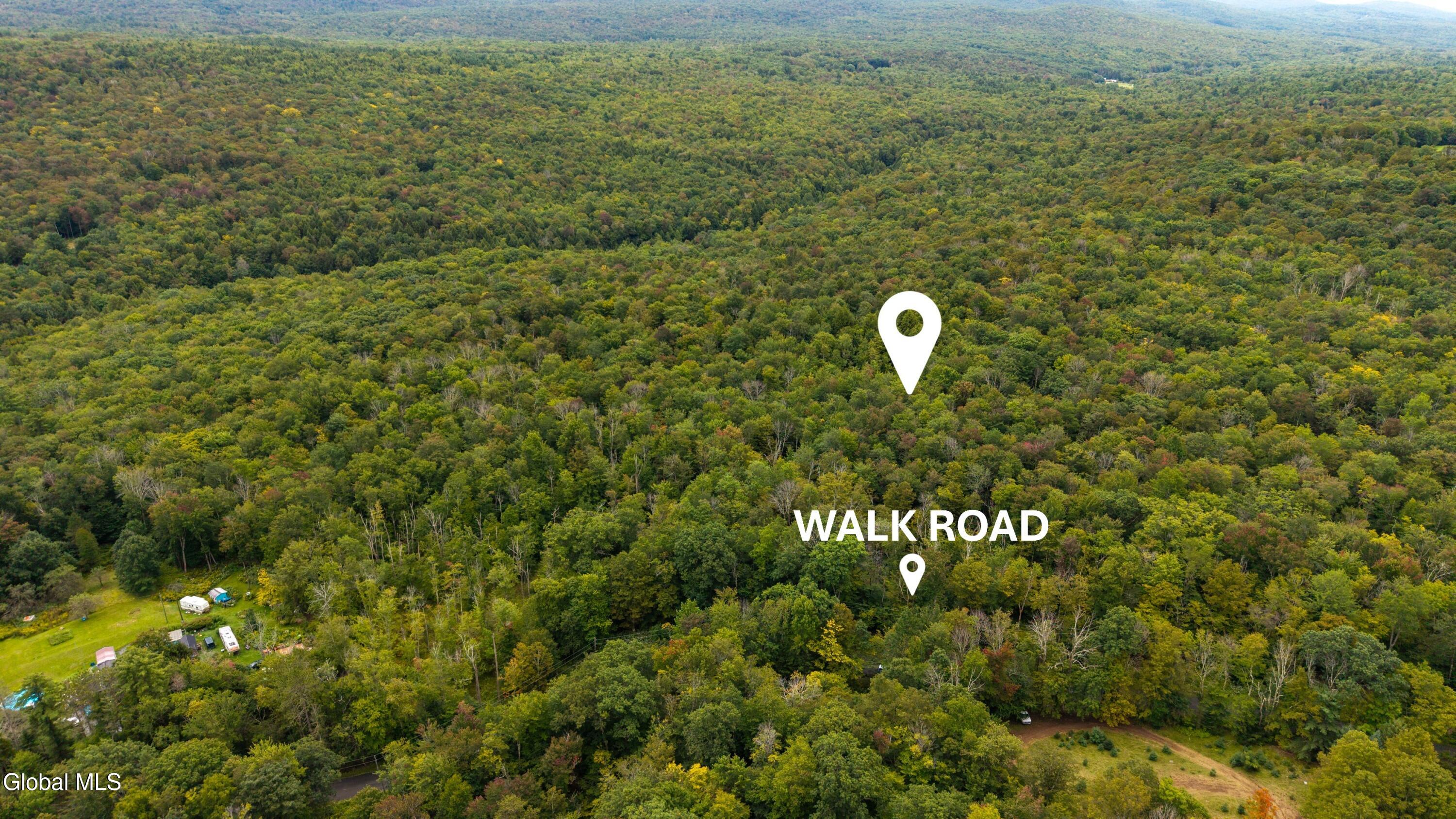 0 Walk Rd Road Sand Lake NY 12153