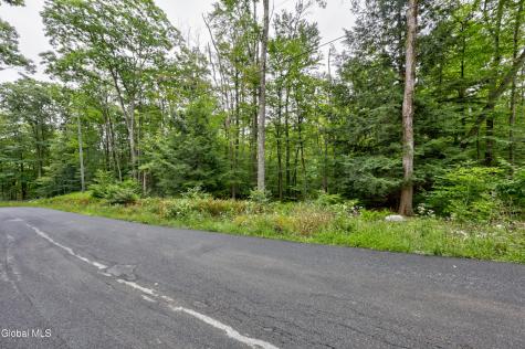 0 Walk Rd Road Sand Lake NY 12153