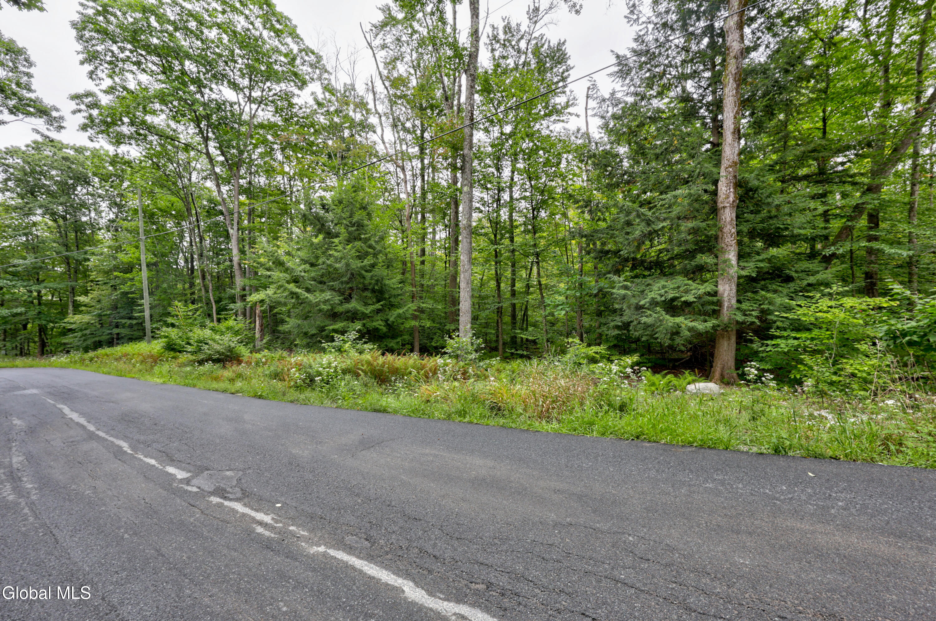 0 Walk Rd Road Sand Lake NY 12153