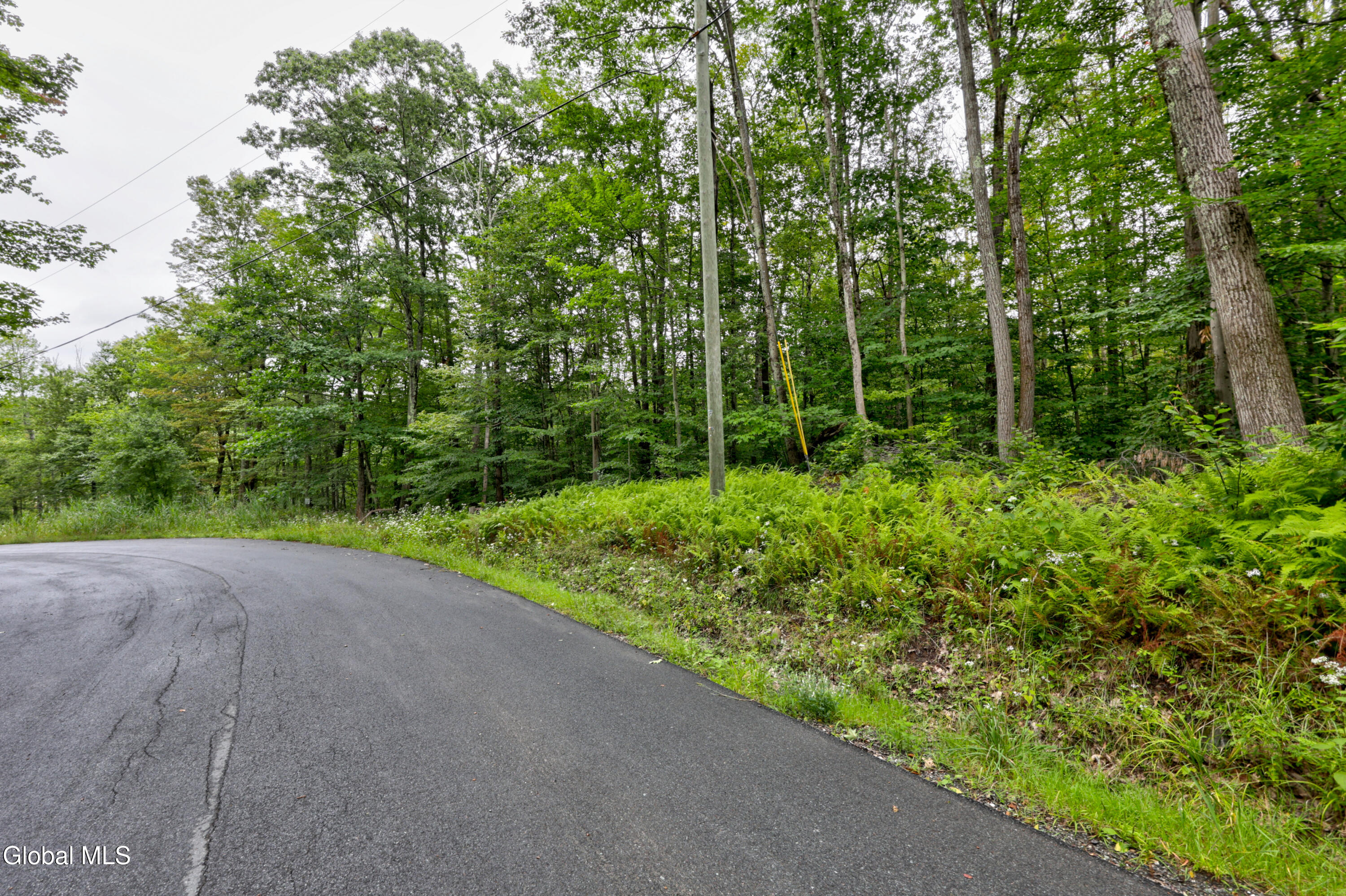 0 Walk Rd Road Sand Lake NY 12153